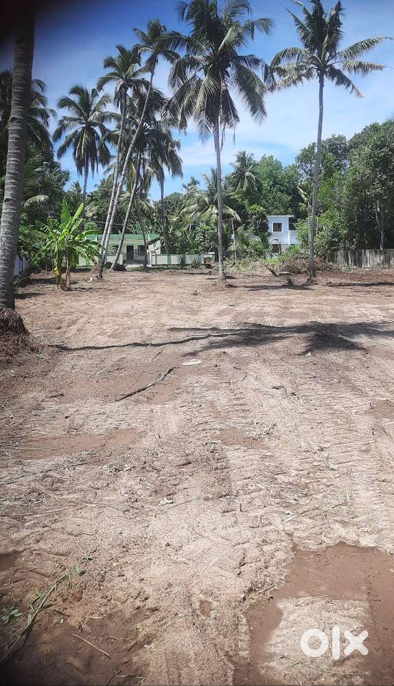 Plot for Sale at Niranam