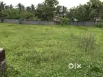17-Cent Rectangular Plot for Sale in Chandranagar Col
