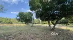 Farm land for sale