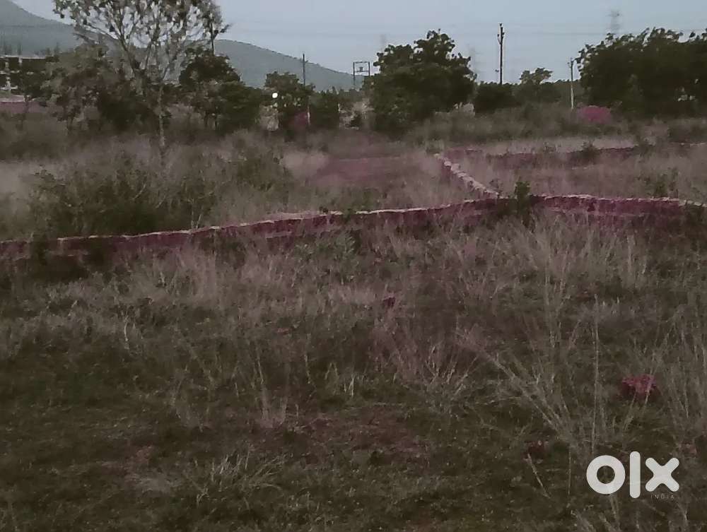 Near Cohen international school jatani