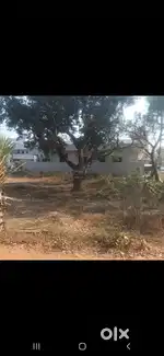 North Facing 267sq yards Plot for sale at Sarpavaram Village