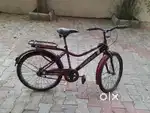Child cycle