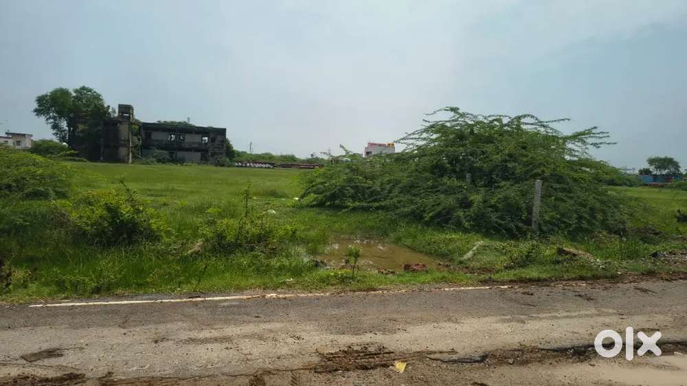 Wanted accountant for a retail shop in Padi, ambattur