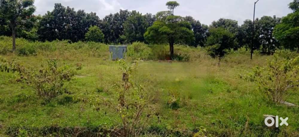 Site for sale in surya city