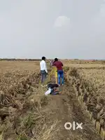 3 Guntha plot for sale