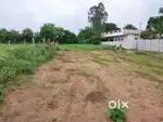 Open Plots 3,800 per Sq-yard at shadnagar Rajapur