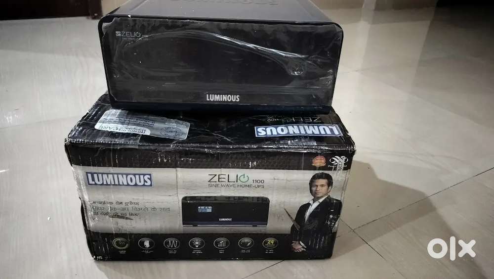 Luminous Inverter