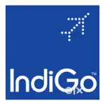 Urgent hiring for ground staff job in Indigo airline