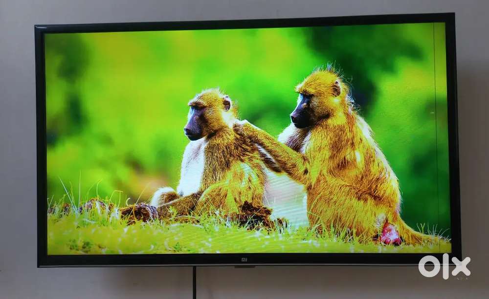 MI Smart LED TV
