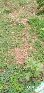 1000 s.f.plot for sale near J.P. nagar Akshay park Gokul road Hubli