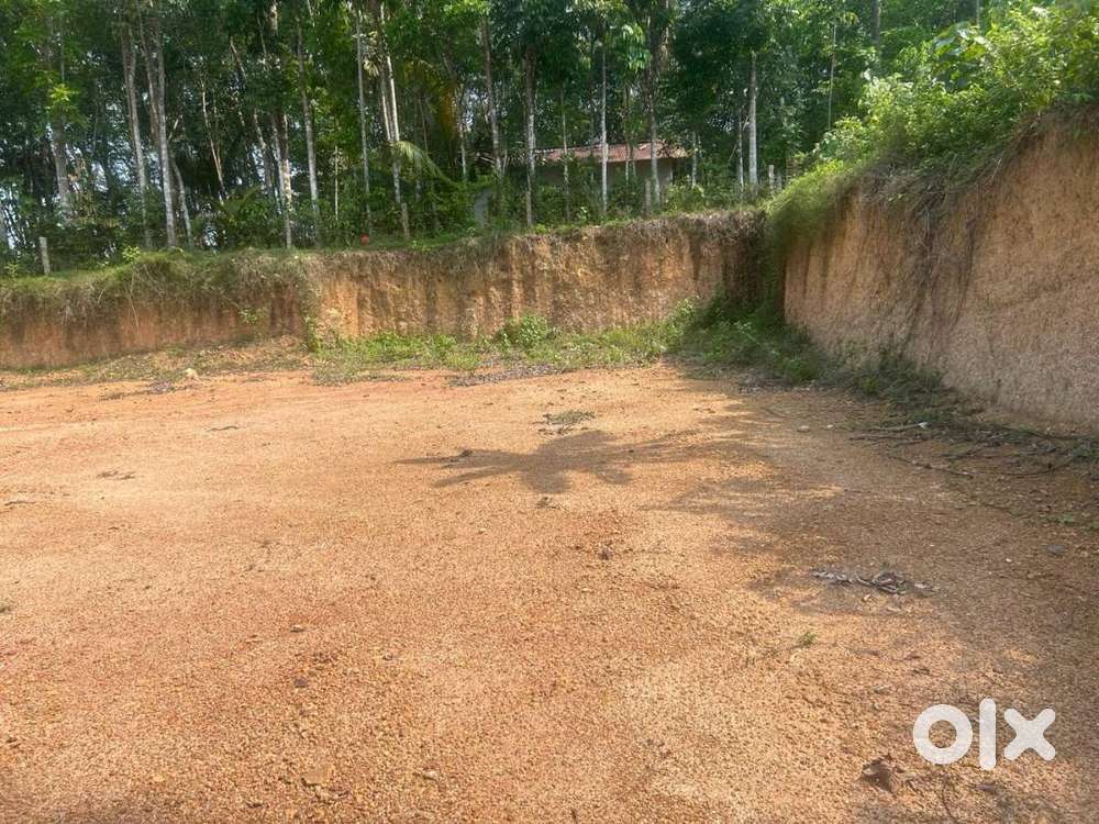 Commercial Land for Rent/Lease/Sale in Anad, Nedumangad, Trivandrum