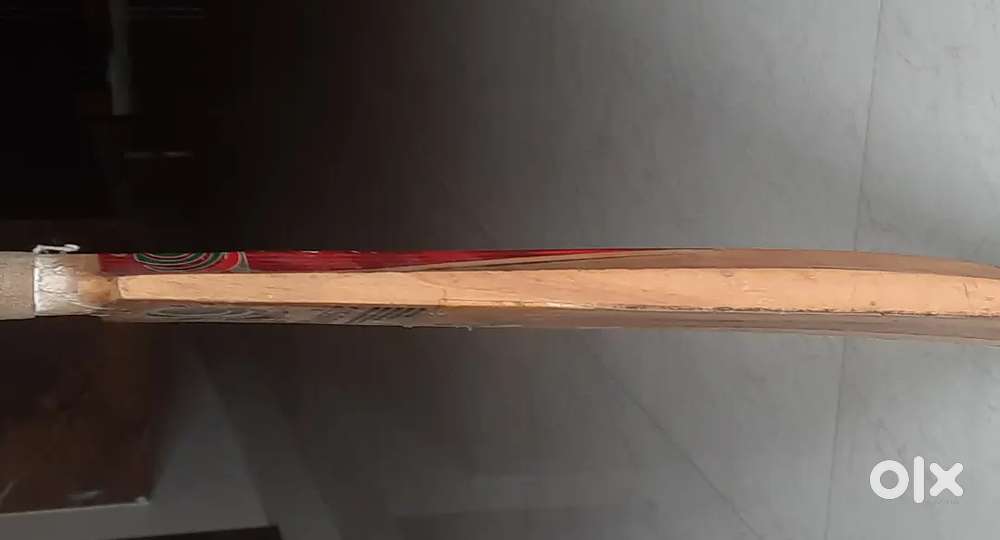 Solid Cricket Bat