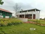 anuval returns from various fruits