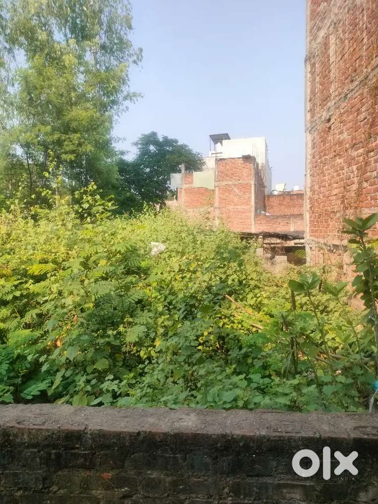 Mardan Naka oont muhalla shan marrige hall ke agee hai