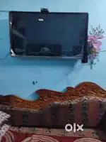 MI TV 43 2years old