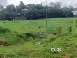 PADDY FRONTAGE STYLISH PROPERTY PUKKATTUPADY NEAR KAKKANAD