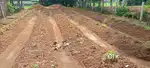 10.5 cent land for sale near kaipporikara