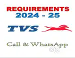 Requirements For Male and Female In Automobile Sector