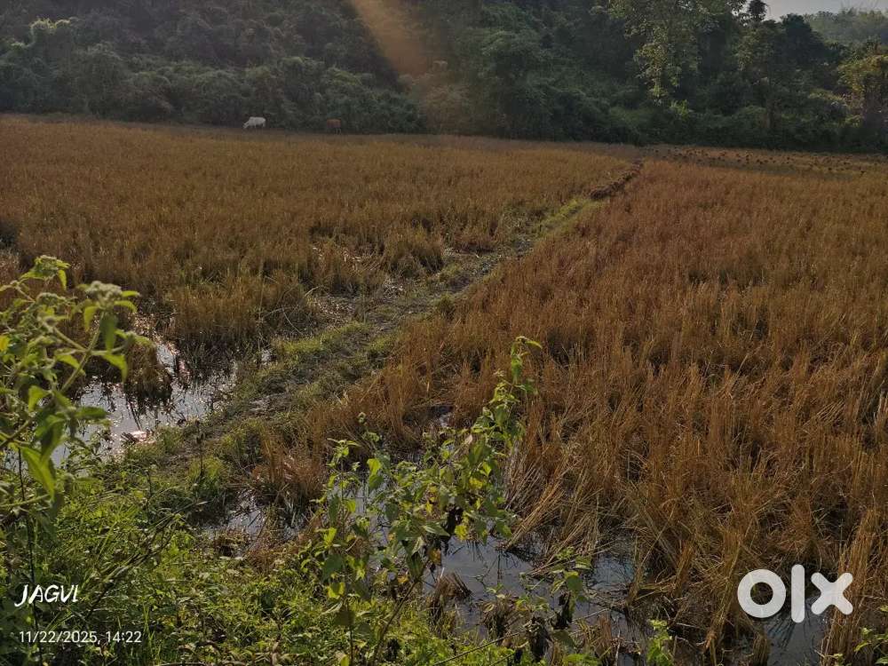 *Myaadi Plot for Sale near Baihata Chariali