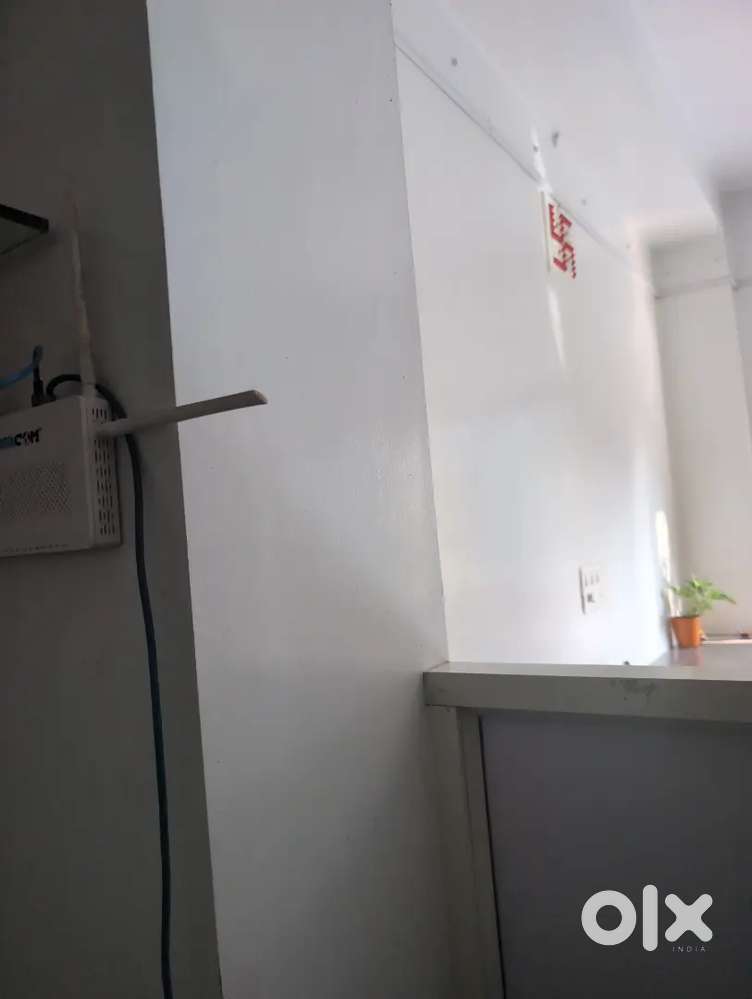 Girls & Ladies PG Roommate Sharing