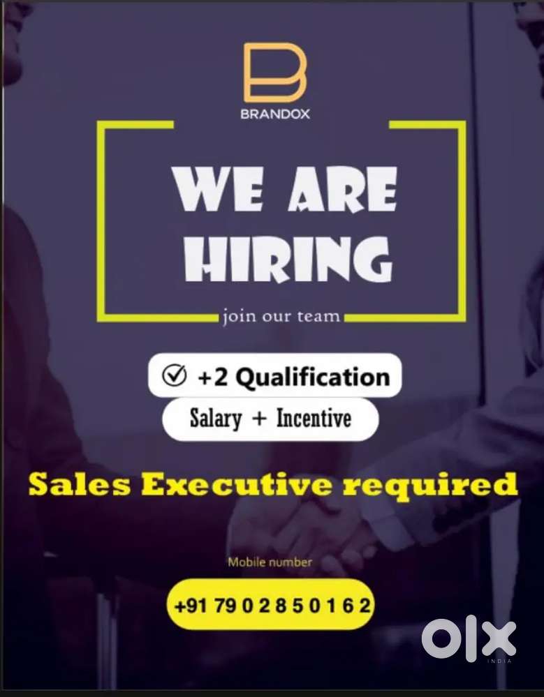 Sales Executive