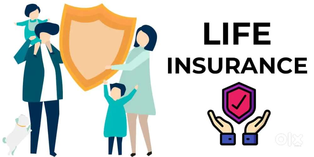 Life insurance adviser