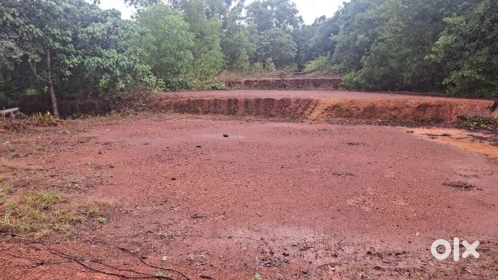 10.5 cents of land in Mattannur