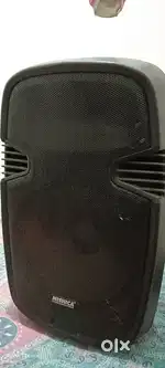 18 inch speaker