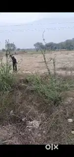 Near mant radha rani on road pilot
