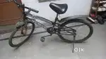 Cycle on cell