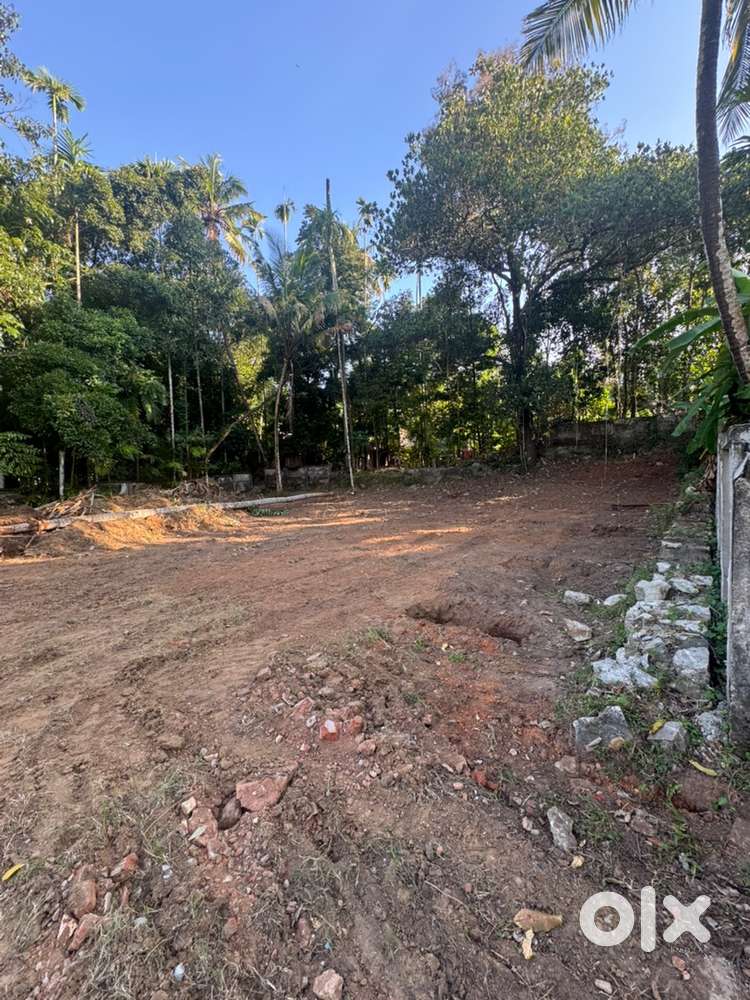 10 cent square plot - Alummoodu, Mayyanadu road