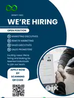 Sales / Marketing Executive