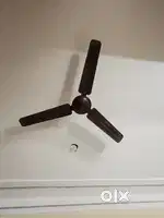 Bajaj  celling fan