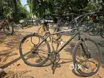 Kross Men Cycle