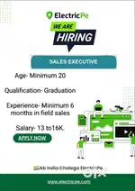 Sales Executive