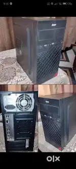 Pc 1.5 year old