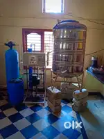 Drinking water plant sale