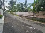 Aluva Town 13cent land for sale