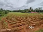 1.06 Acre Agricultural Land for Sale in Nelamangala - Bengaluru rural–