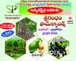 అద్దంకిలొ  హైబ్రిడ్ జామ & చందనం తోటలు – లాభదాయకమైన భూమి ఇక్కడే