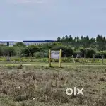 6000 sq approved land direct owner