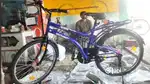 Gang stylish bicycle