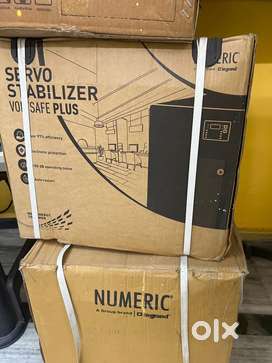 Servo stabilizer