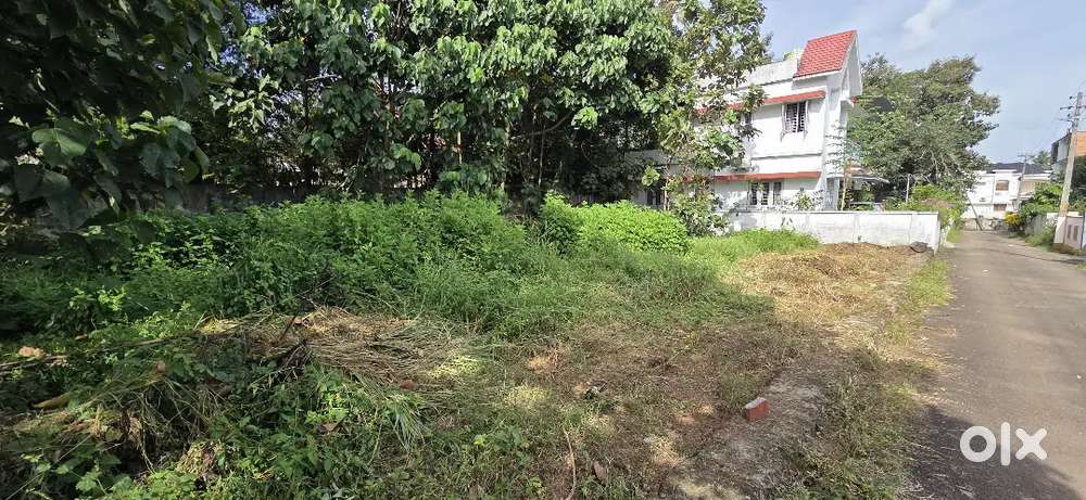 10CENT KAKKANAD KIZHAKKAMBALAM VILLA PLOT