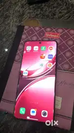 Vivo v50 5g phone