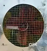 biggest cooler 4×5 sized roughly
