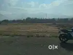 Lands and plots