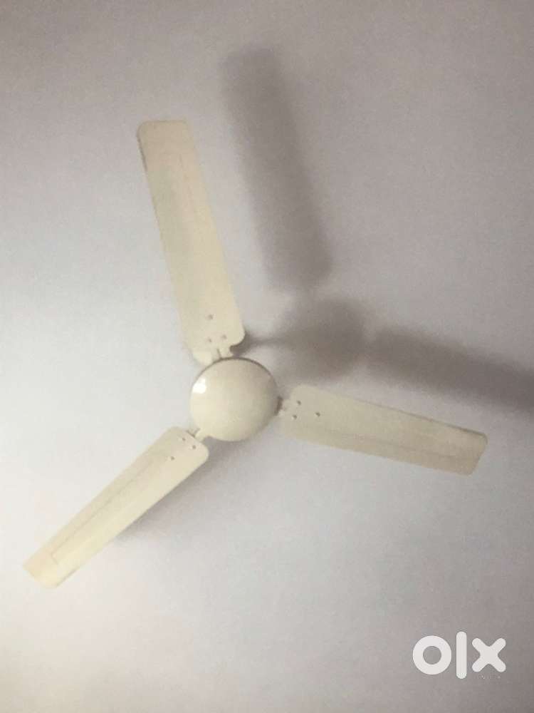 2 Seeling fan mint condition