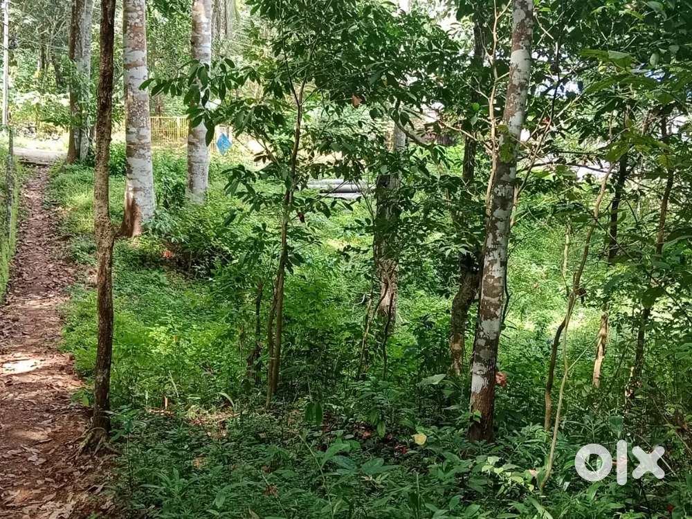 Nanniyodu plot for sale