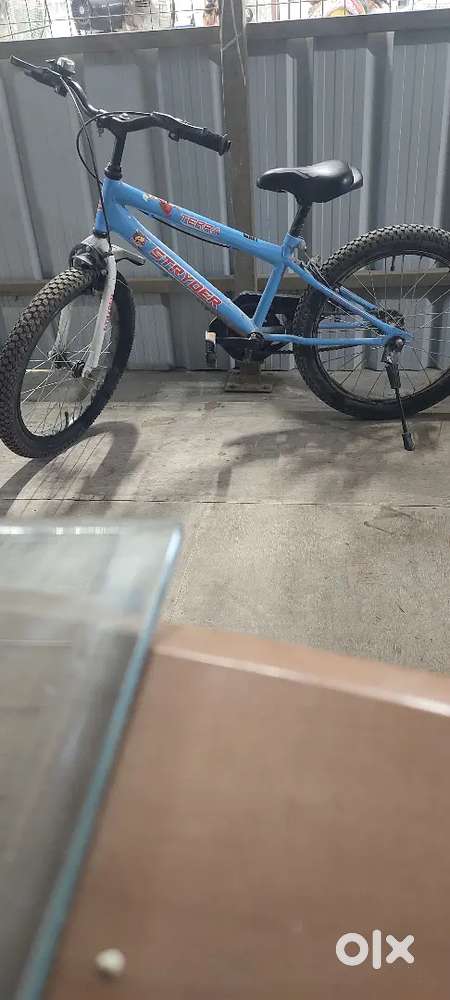 Terra Stryder 9years to 13years